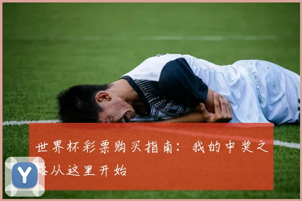 世界杯彩票购买指南:我的中奖之路从这里开始