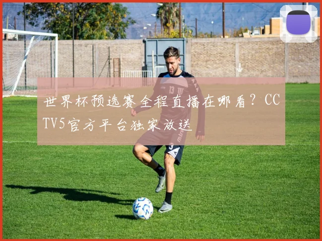 世界杯预选赛全程直播在哪看？CCTV5官方平台独家放送