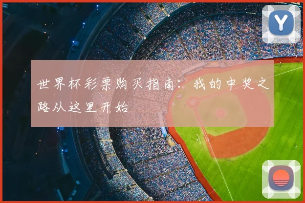 世界杯彩票购买指南：我的中奖之路从这里开始