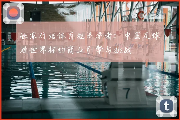 独家对话体育经济学者:中国足球进世界杯的商业引擎与挑战