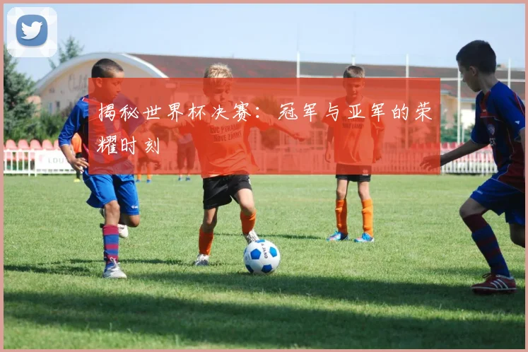 揭秘世界杯决赛：冠军与亚军的荣耀时刻