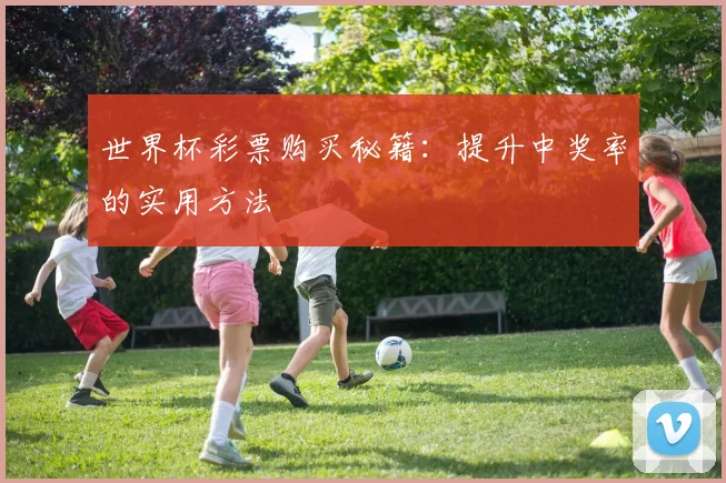世界杯彩票购买秘籍：提升中奖率的实用方法