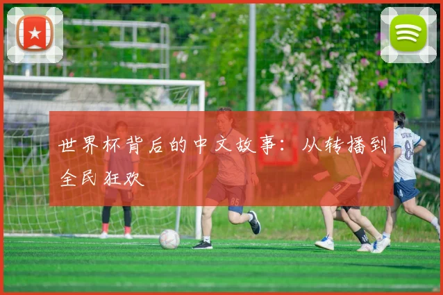 世界杯背后的中文故事：从转播到全民狂欢