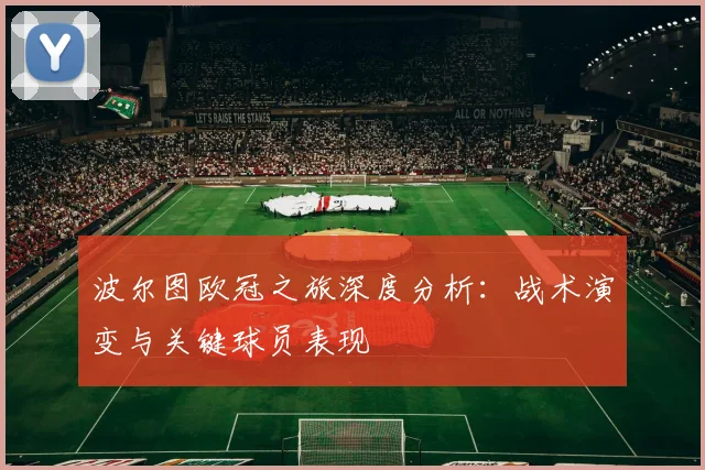 波尔图欧冠之旅深度分析：战术演变与关键球员表现