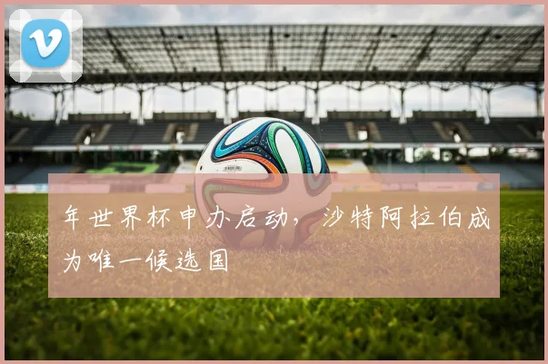 年世界杯申办启动,沙特阿拉伯成为唯一候选国