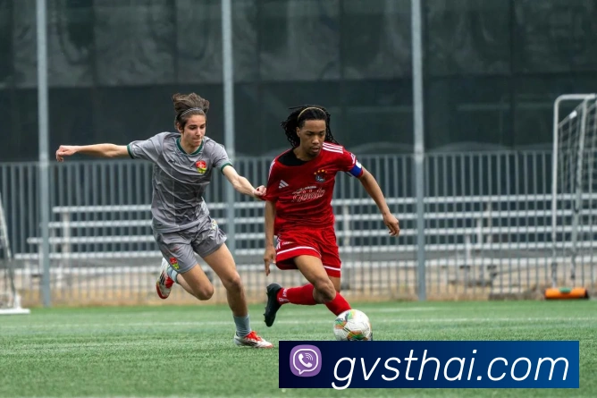 开云账号中心登录入口APP 高清赛事图